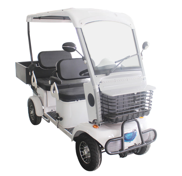 eLifecenter Battery-Powered Electrical 4 Seats Golf Cart with Cargo, Max Capacity 500KG (E900)