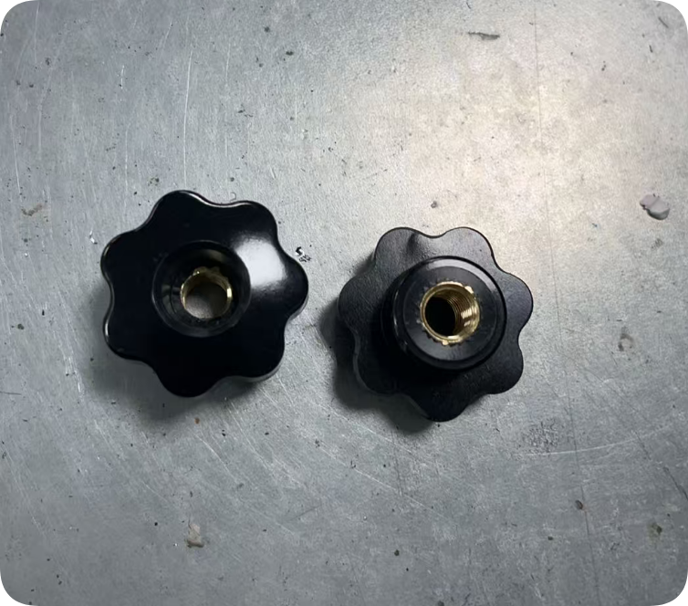 2 pcs Screws for the Squeegee Assembly(EM_25 Model)